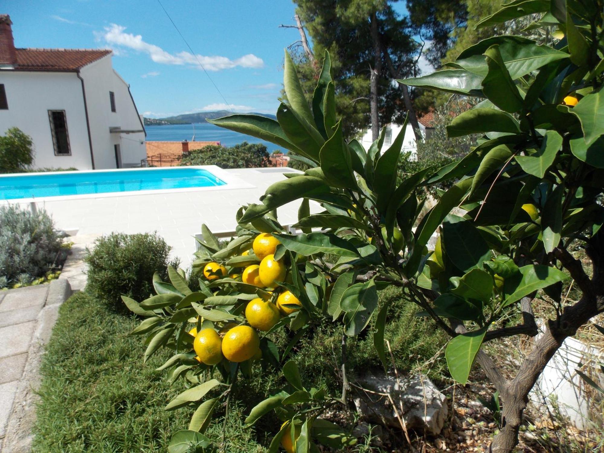 Apartments Villa Goja Trogir Room photo