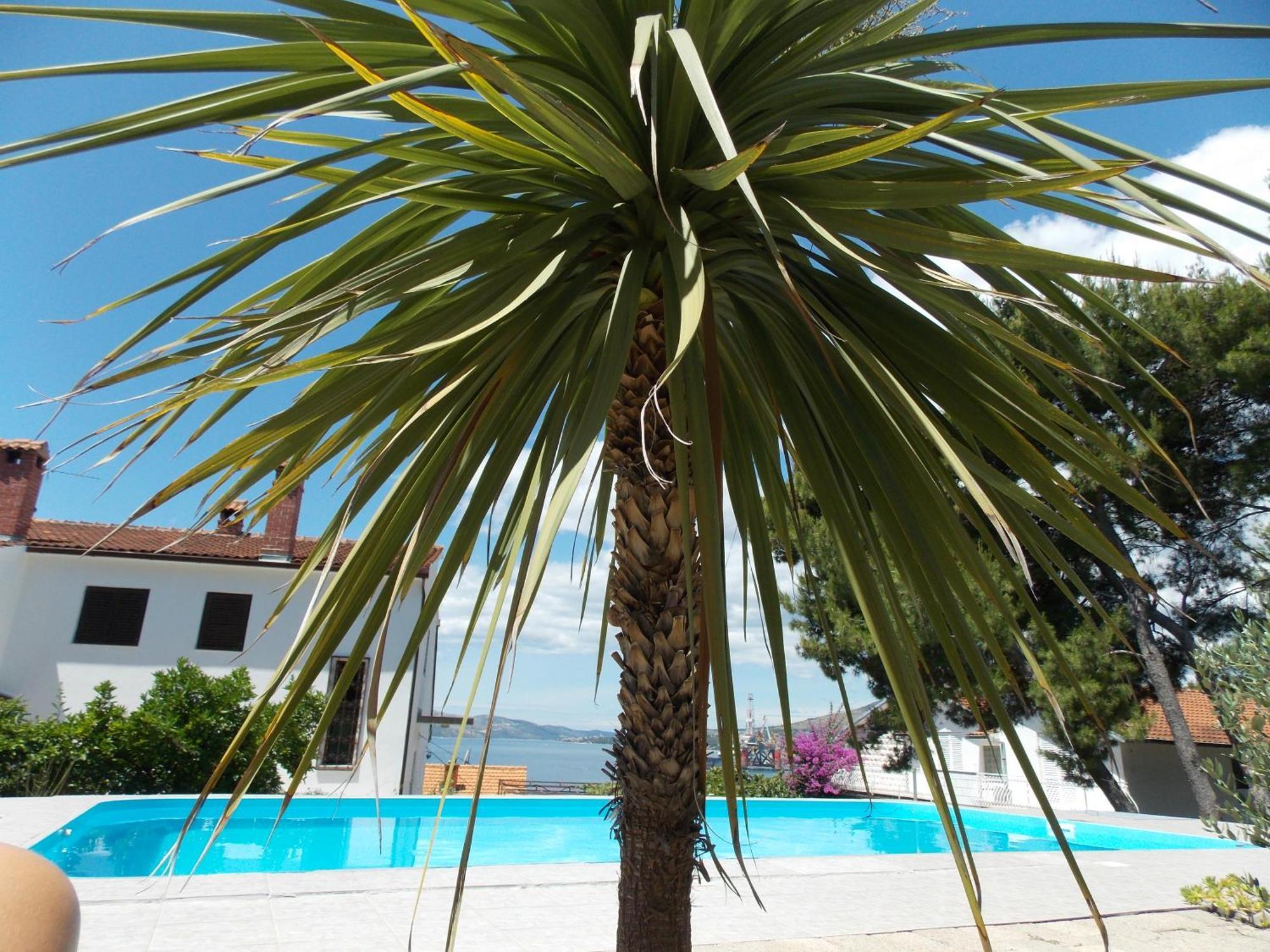Apartments Villa Goja Trogir Room photo